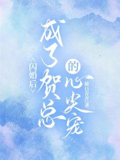 闪婚后，成了贺总的心尖宠