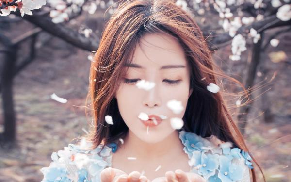 姜愿沈渡我接受渣男安排后离开，沈总哭红眼小说大结局免费试读